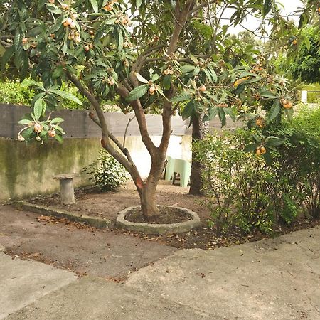 Studio Independant Avec Jardin 布克贝尔航空 外观 照片