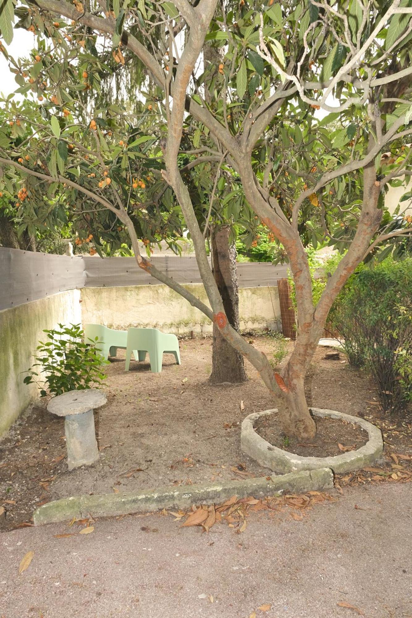Studio Independant Avec Jardin 布克贝尔航空 外观 照片